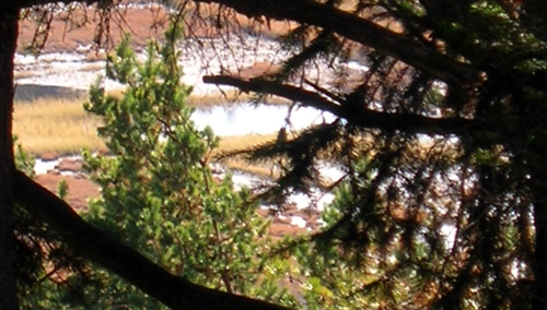 Riserva Naturale Pian Gembro